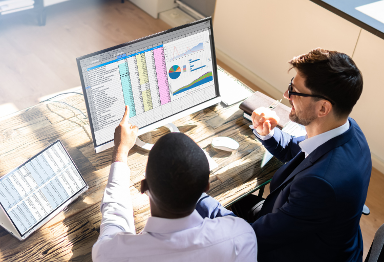 Data Analyst